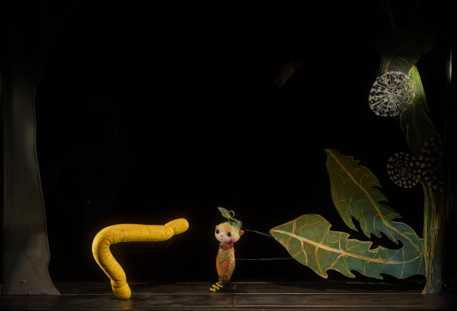 Pöttöm Panna (a FuxFeszt keretében)