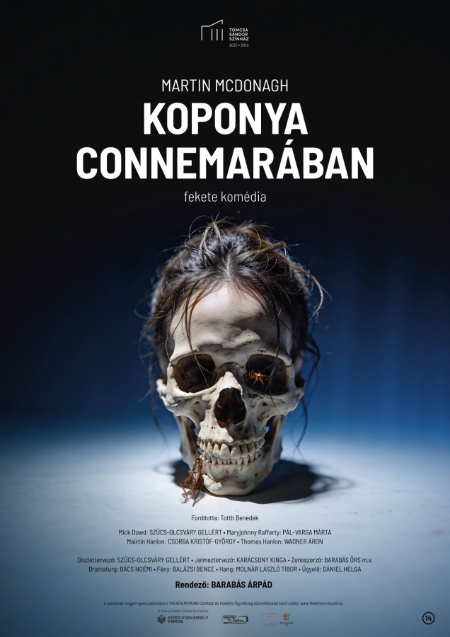 Koponya Connemarában
